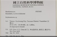 登錄號:F0035685藏品圖，第2張