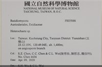 刺皮菌屬藏品圖，第2張