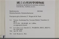 登錄號:F0035688藏品圖，第2張