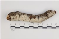 登錄號:F0035688藏品圖，第1張