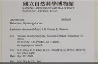 登錄號:F0035689藏品圖，第2張