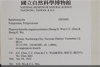 登錄號:F0035690藏品圖，第2張
