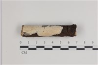 登錄號:F0035690藏品圖，第1張