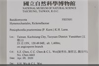 登錄號:F0035691藏品圖，第2張