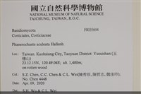 登錄號:F0035694藏品圖，第2張