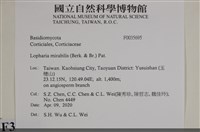 登錄號:F0035695藏品圖，第2張