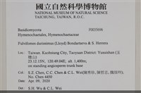 登錄號:F0035696藏品圖，第2張