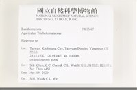 館號:F0035697藏品圖，第2張
