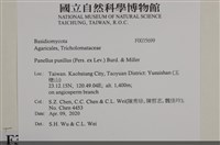 登錄號:F0035699藏品圖，第2張