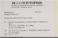 登錄號:F0035700藏品圖，第2張