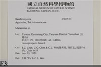 小皮傘屬藏品圖，第2張