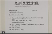 館號:F0035702藏品圖，第2張