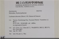 登錄號:F0035703藏品圖，第2張
