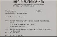 登錄號:F0035704藏品圖，第2張
