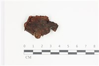 登錄號:F0035704藏品圖，第1張