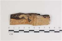 登錄號:F0035706藏品圖，第1張