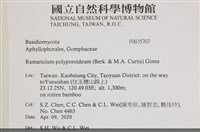 登錄號:F0035707藏品圖，第2張