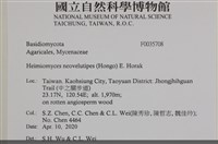 登錄號:F0035708藏品圖，第2張