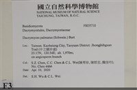 登錄號:F0035710藏品圖，第2張