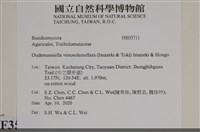登錄號:F0035711藏品圖，第2張