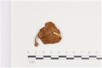 登錄號:F0035711藏品圖，第1張