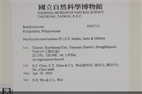 登錄號:F0035712藏品圖，第2張