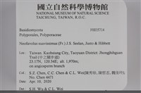 登錄號:F0035714藏品圖，第2張