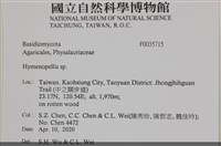 登錄號:F0035715藏品圖，第2張