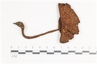 登錄號:F0035715藏品圖，第3張