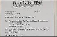 登錄號:F0035717藏品圖，第2張