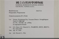 登錄號:F0035718藏品圖，第2張