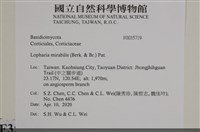 登錄號:F0035719藏品圖，第2張