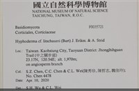 登錄號:F0035721藏品圖，第2張