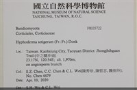 剛毛絲皮菌藏品圖，第2張