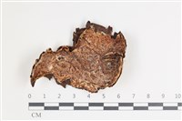 登錄號:F0035723藏品圖，第1張