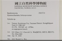 登錄號:F0035724藏品圖，第2張