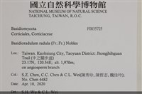 登錄號:F0035725藏品圖，第2張