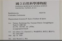 登錄號:F0035730藏品圖，第2張