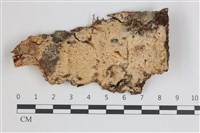 登錄號:F0035734藏品圖，第1張