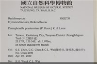 登錄號:F0035739藏品圖，第2張