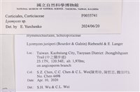登錄號:F0035741藏品圖，第2張