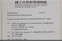 登錄號:F0035741藏品圖，第3張