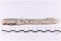 登錄號:F0035741藏品圖，第1張