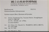 登錄號:F0035742藏品圖，第2張