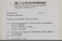 登錄號:F0035743藏品圖，第2張