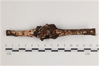 登錄號:F0035744藏品圖，第1張