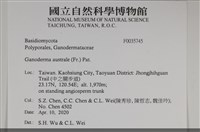登錄號:F0035745藏品圖，第2張