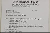 登錄號:F0035746藏品圖，第2張