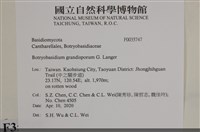 登錄號:F0035747藏品圖，第2張