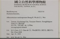 登錄號:F0035749藏品圖，第2張